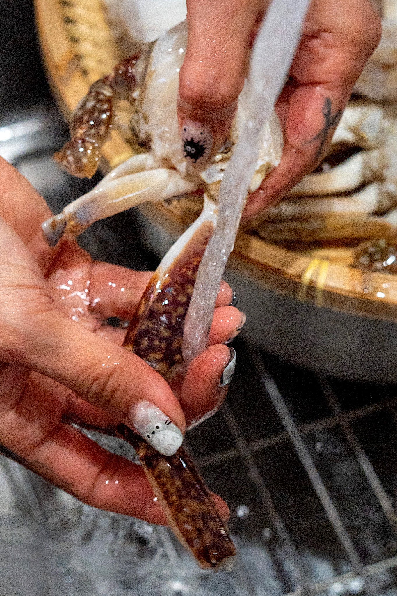 Authentic Yangnyeom Gejang: Master Spicy Raw Korean Marinated Crab step 17